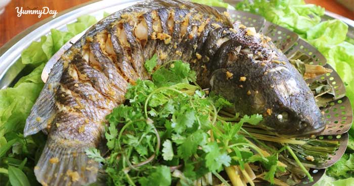 Cách làm cá lóc hấp sả chanh ngon vật vả rã rời - YummyDay