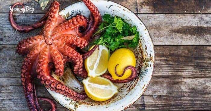 Cách chế biến món bạch tuộc hấp giòn ngon khó cưỡng lại