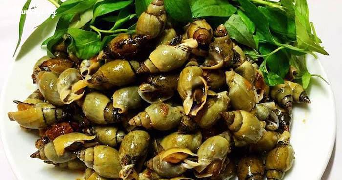 Cách làm ốc cà na xào bơ tỏi thơm lừng góc bếp