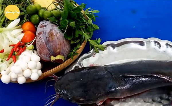 Nguyên liệu nấu lẩu cá trê ngon