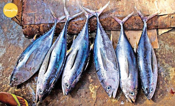 Lựa chọn cá ngừ tươi giúp món cá ngừ kho tiêu thơm ngon hơn