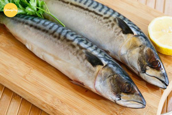 Giá trị dinh dưỡng của cá thu