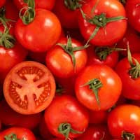 Thông tin chính xác và đầy đủ về nguyên liệu Cà chua